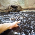 Different Types of Baths in Japan: From Carbonated to Mud