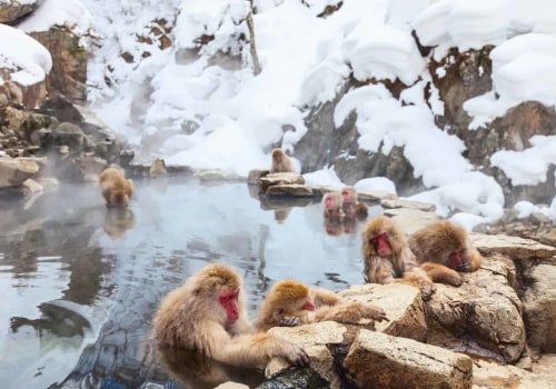 Discover the Unparalleled Experience of Snow Monkey Onsen in Japan